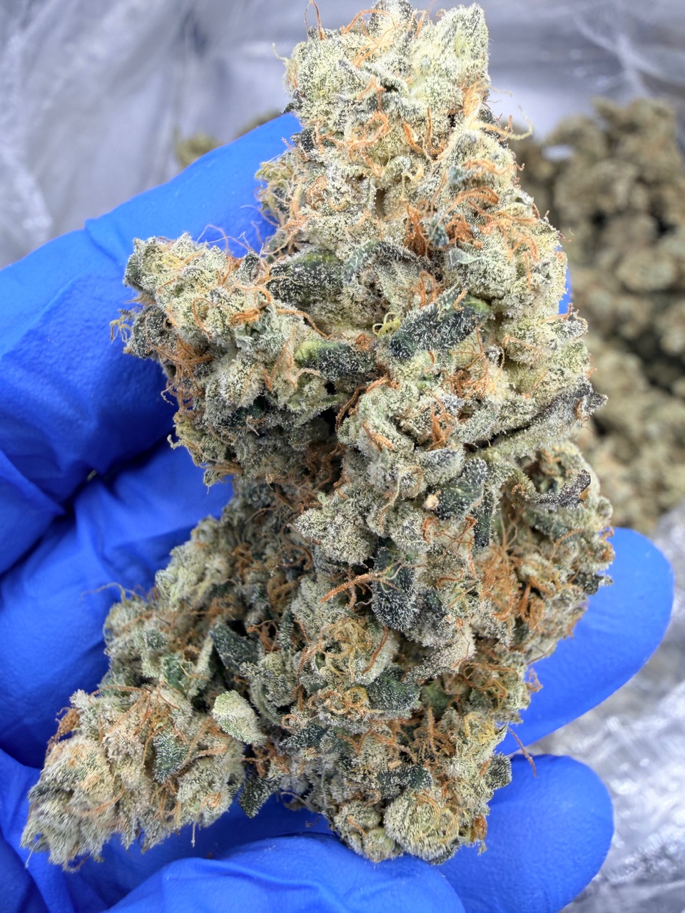 NYC Diesel Digital Art