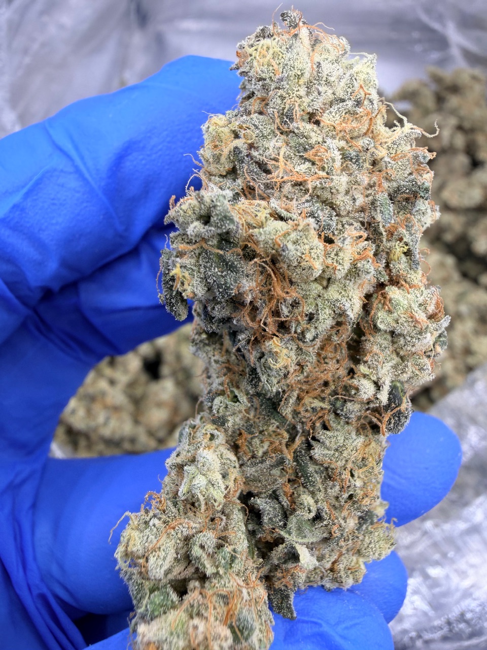 NYC Diesel Digital Art - Image 9