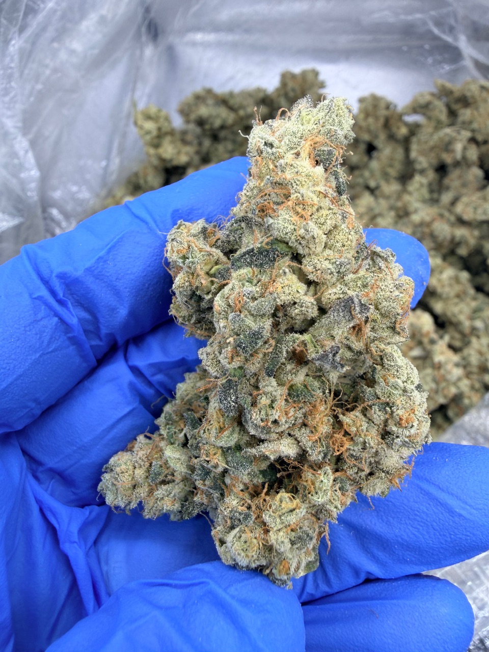 NYC Diesel Digital Art - Image 10