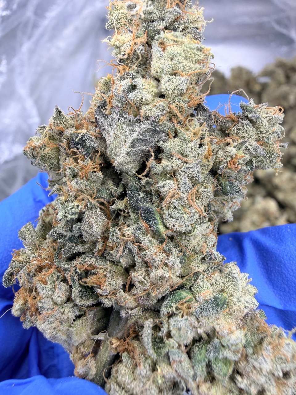 NYC Diesel Digital Art - Image 12