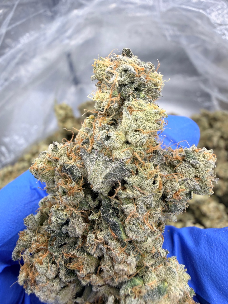 NYC Diesel Digital Art - Image 11