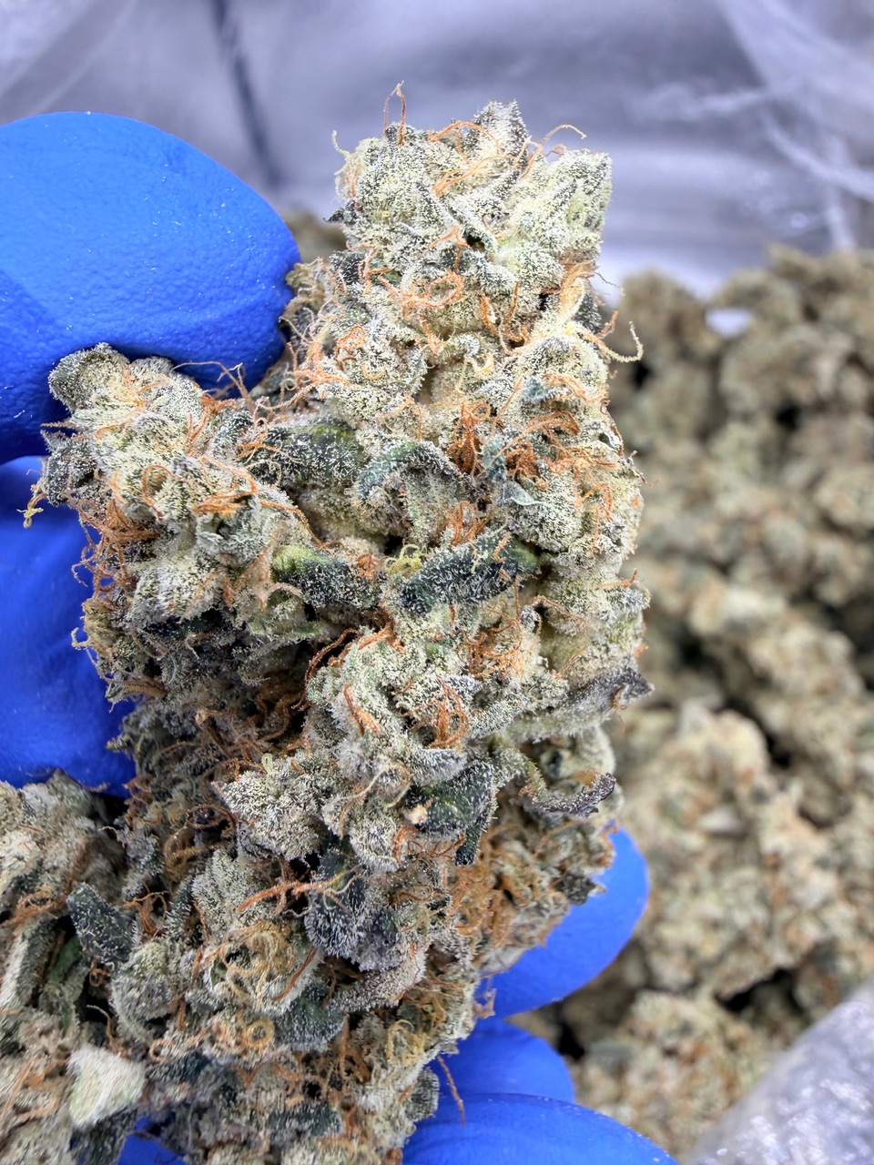 NYC Diesel Digital Art - Image 13