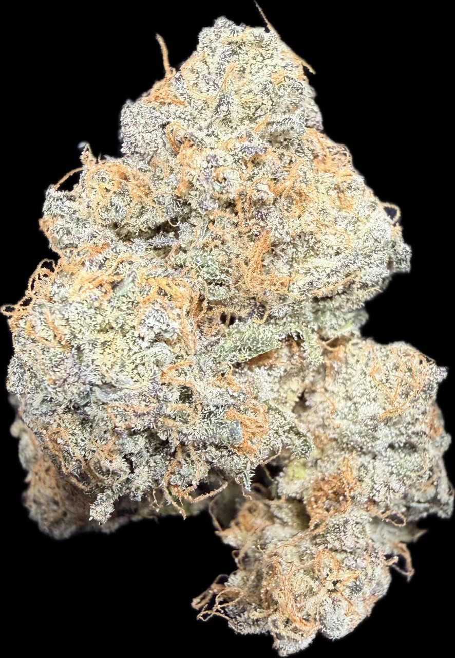 Rainbow Oreoz Digital Art