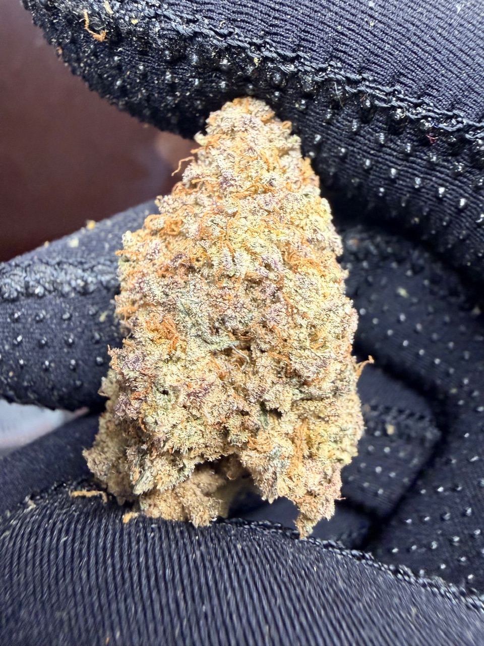 Mac 1 Digital Art - Image 8