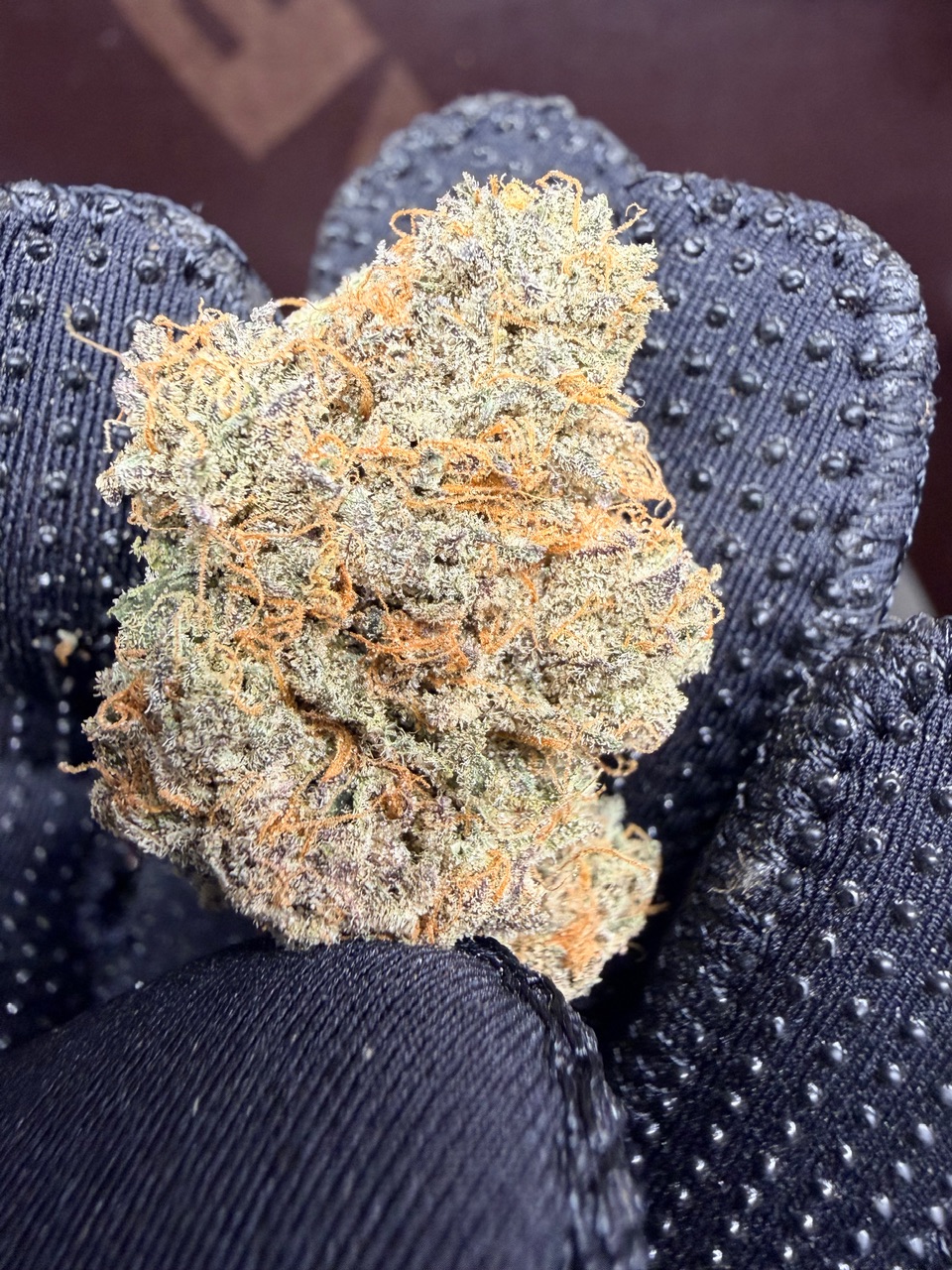 Rainbow Oreoz Digital Art - Image 4