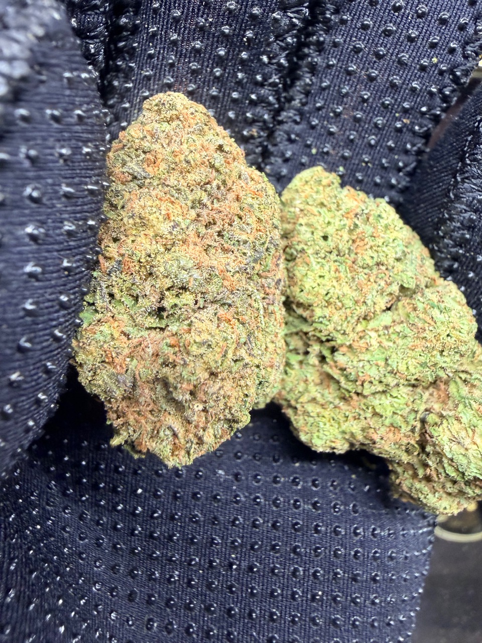 Blue Hawaiian Digital Art - Image 5