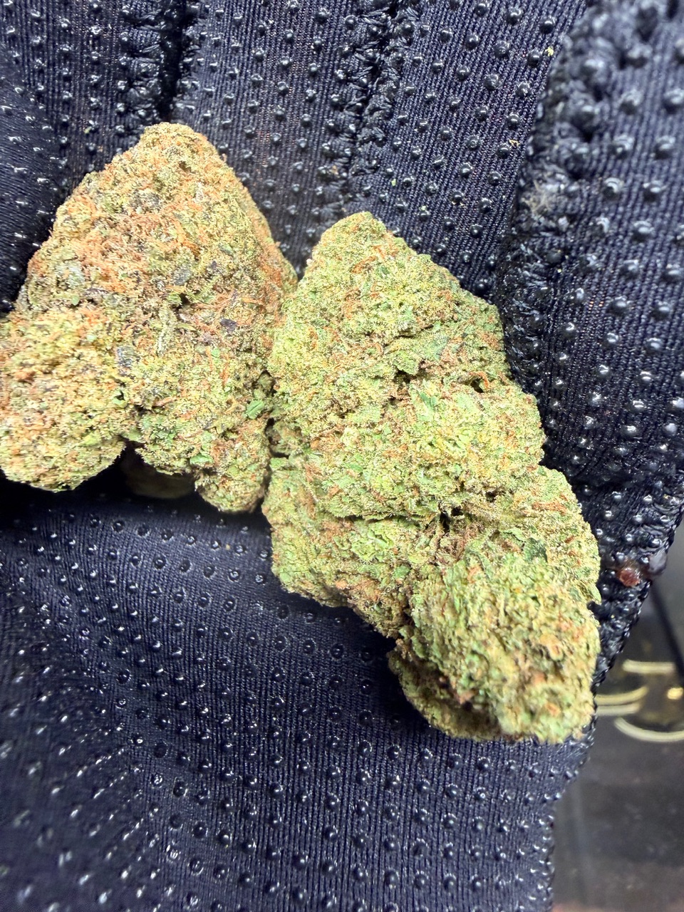 Blue Hawaiian Digital Art - Image 8