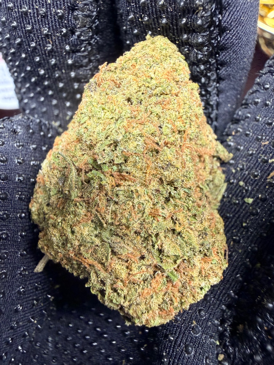 Blue Hawaiian Digital Art - Image 6