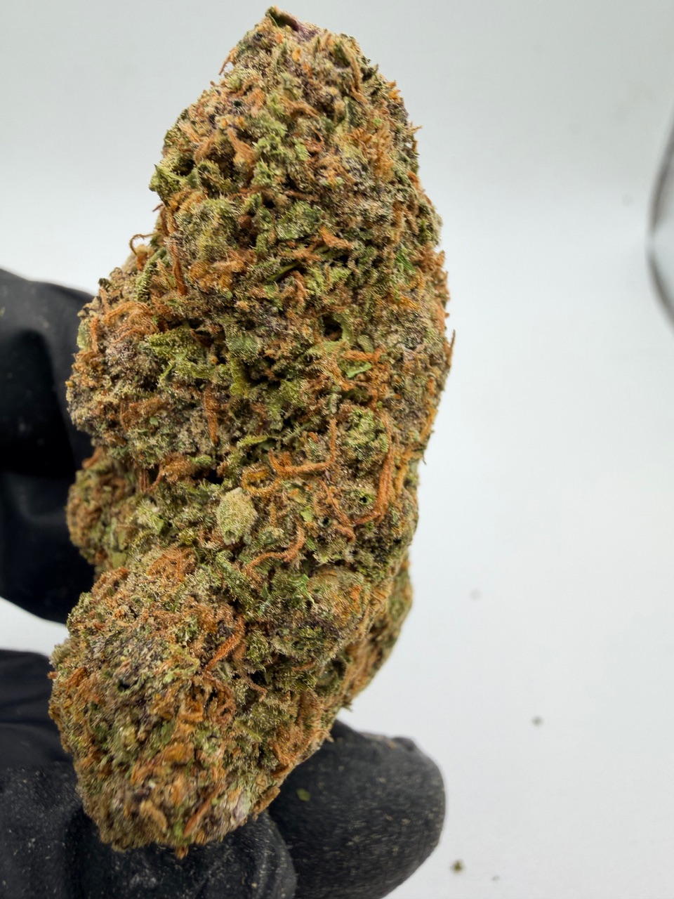 Red Hawaiian Digital Art - Image 3