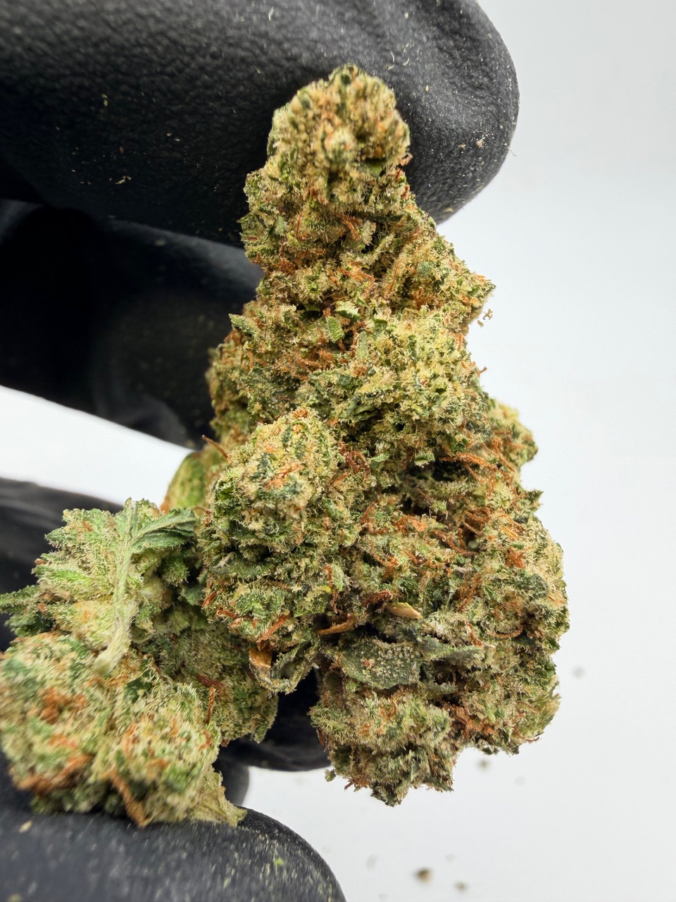 Elmer’s Glue Digital Art - Image 2