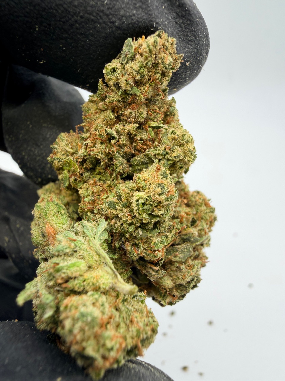 Elmer’s Glue Digital Art - Image 3