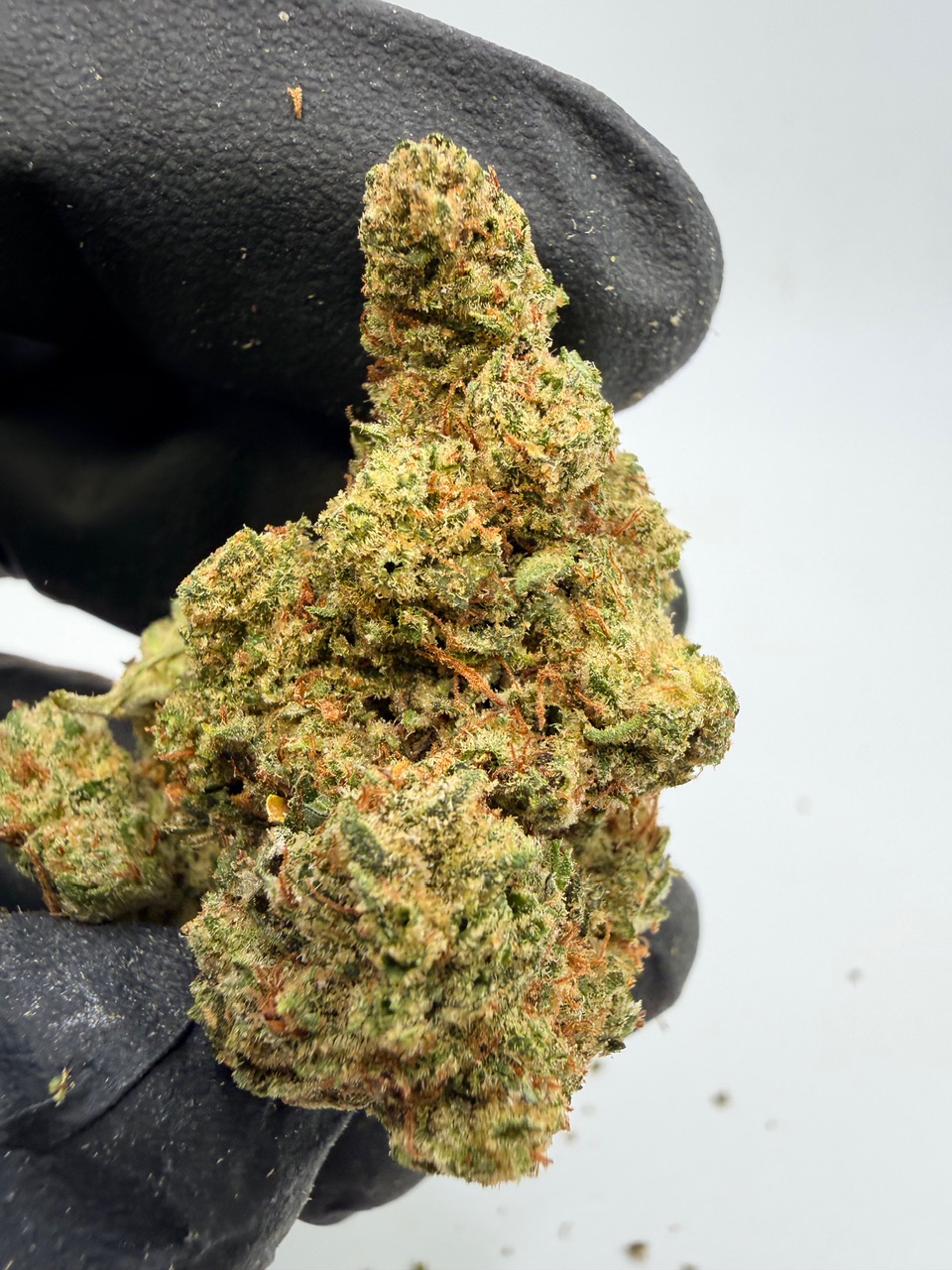 Elmer’s Glue Digital Art - Image 6