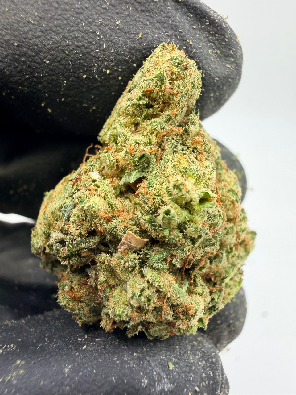 Elmer’s Glue Digital Art - Image 5