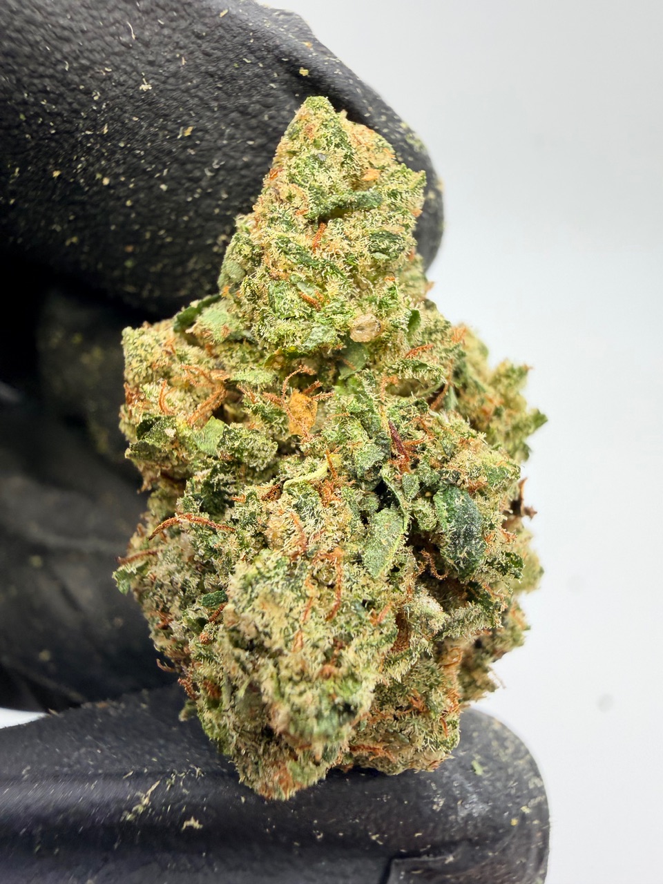 Elmer’s Glue Digital Art - Image 4