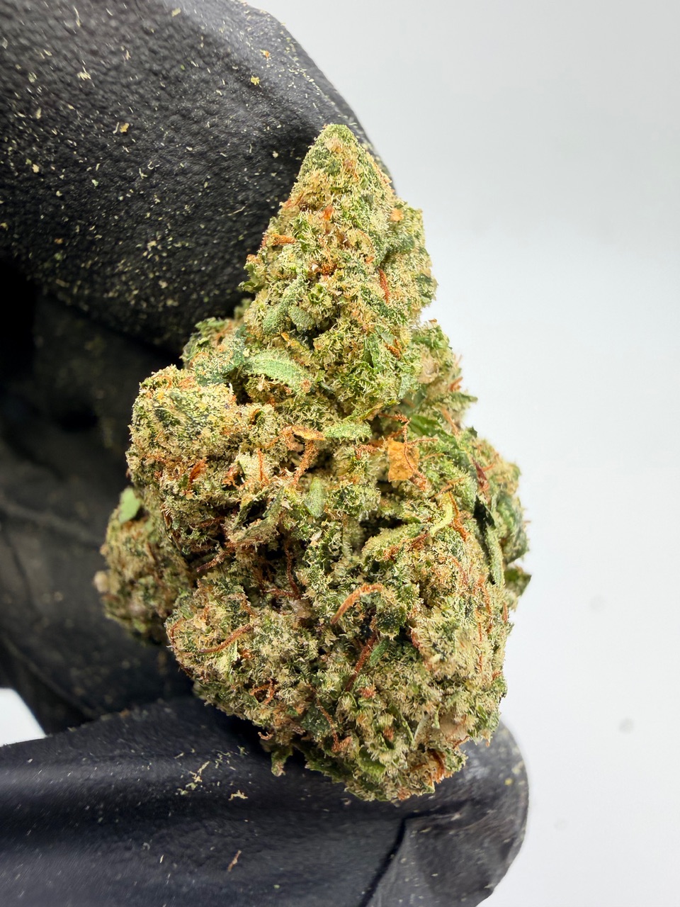 Elmer’s Glue Digital Art - Image 7