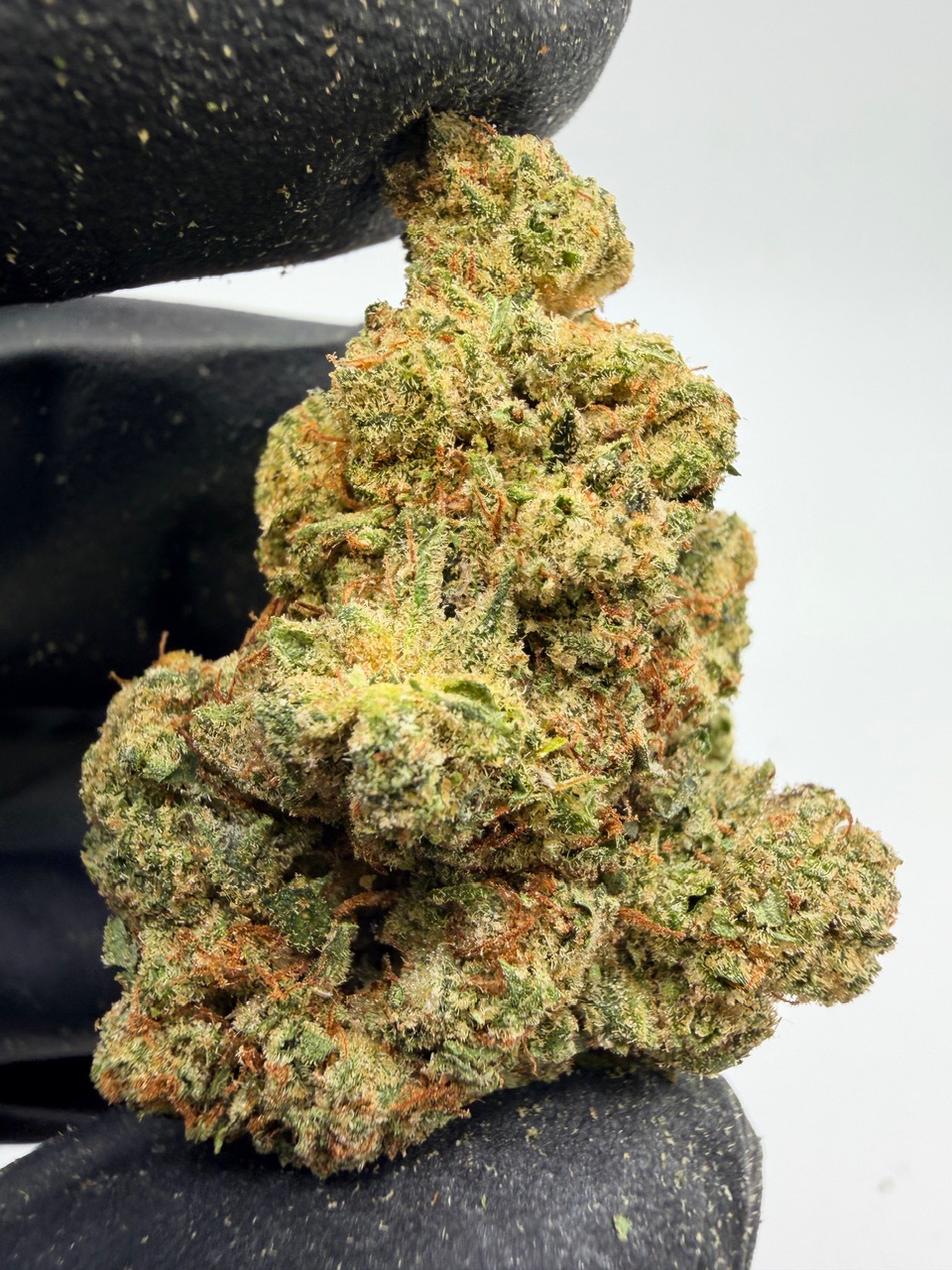 Elmer’s Glue Digital Art