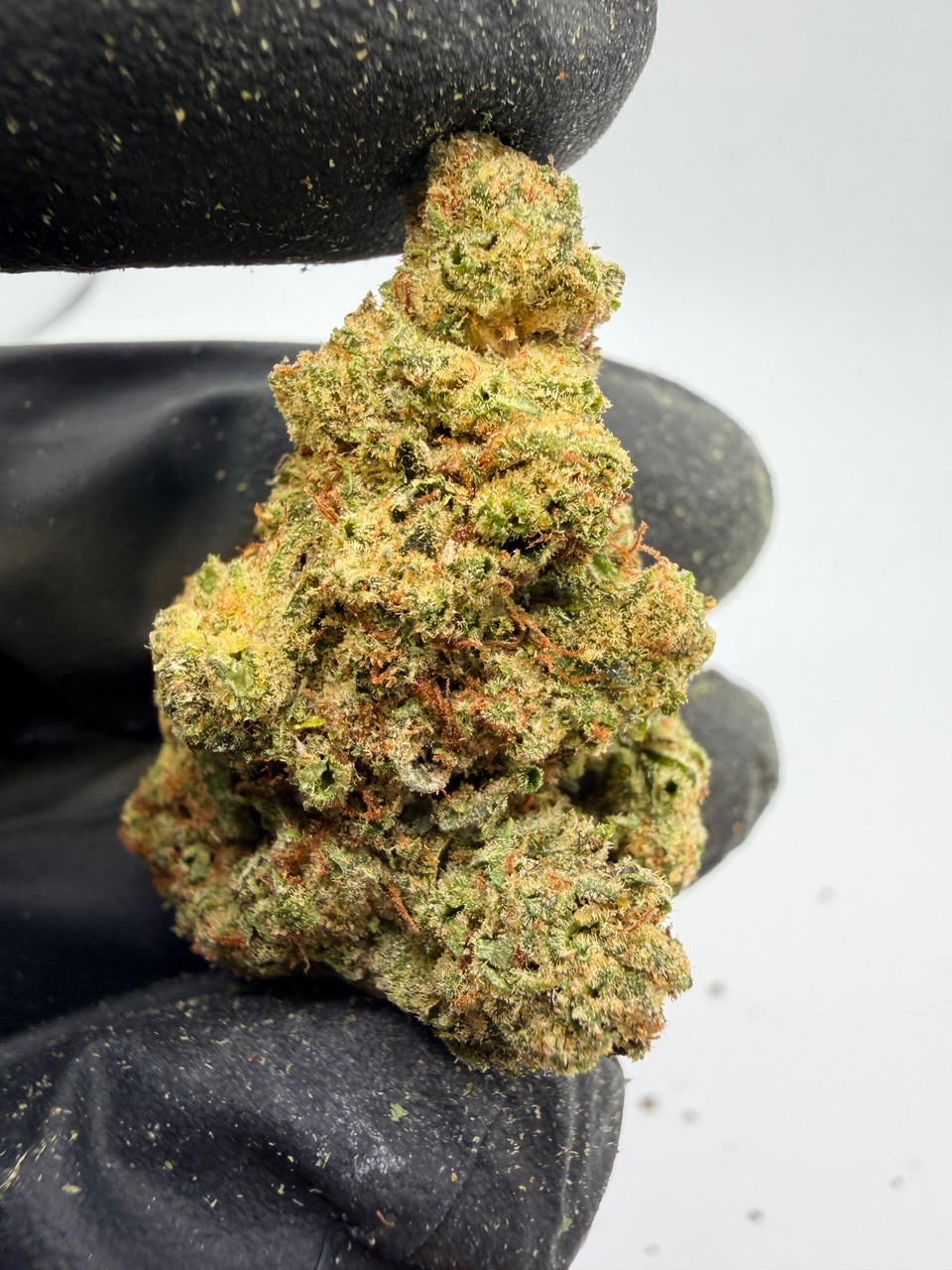 Elmer’s Glue Digital Art - Image 9