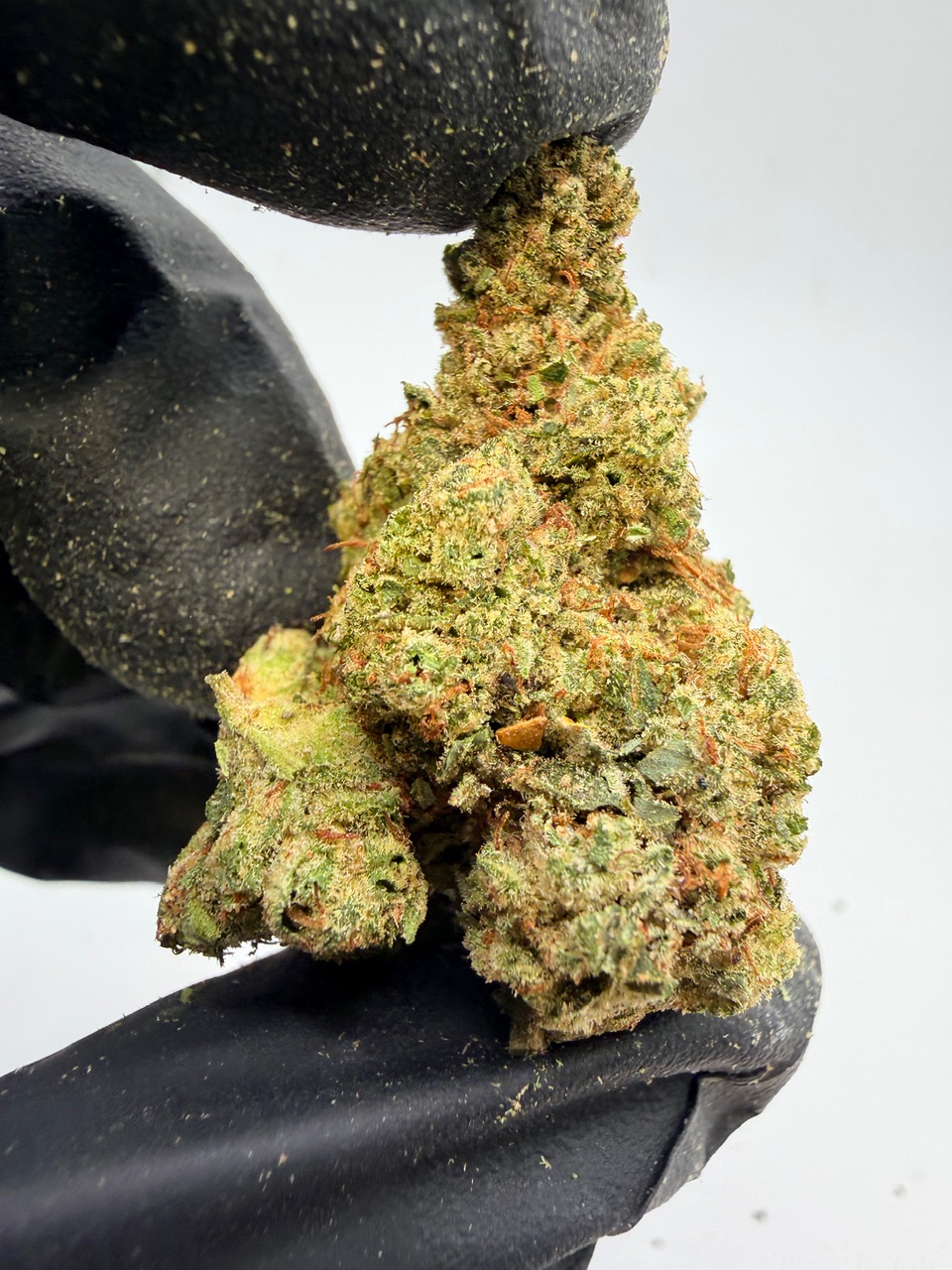 Elmer’s Glue Digital Art - Image 11