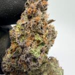 Strawberry Cough Digital Art