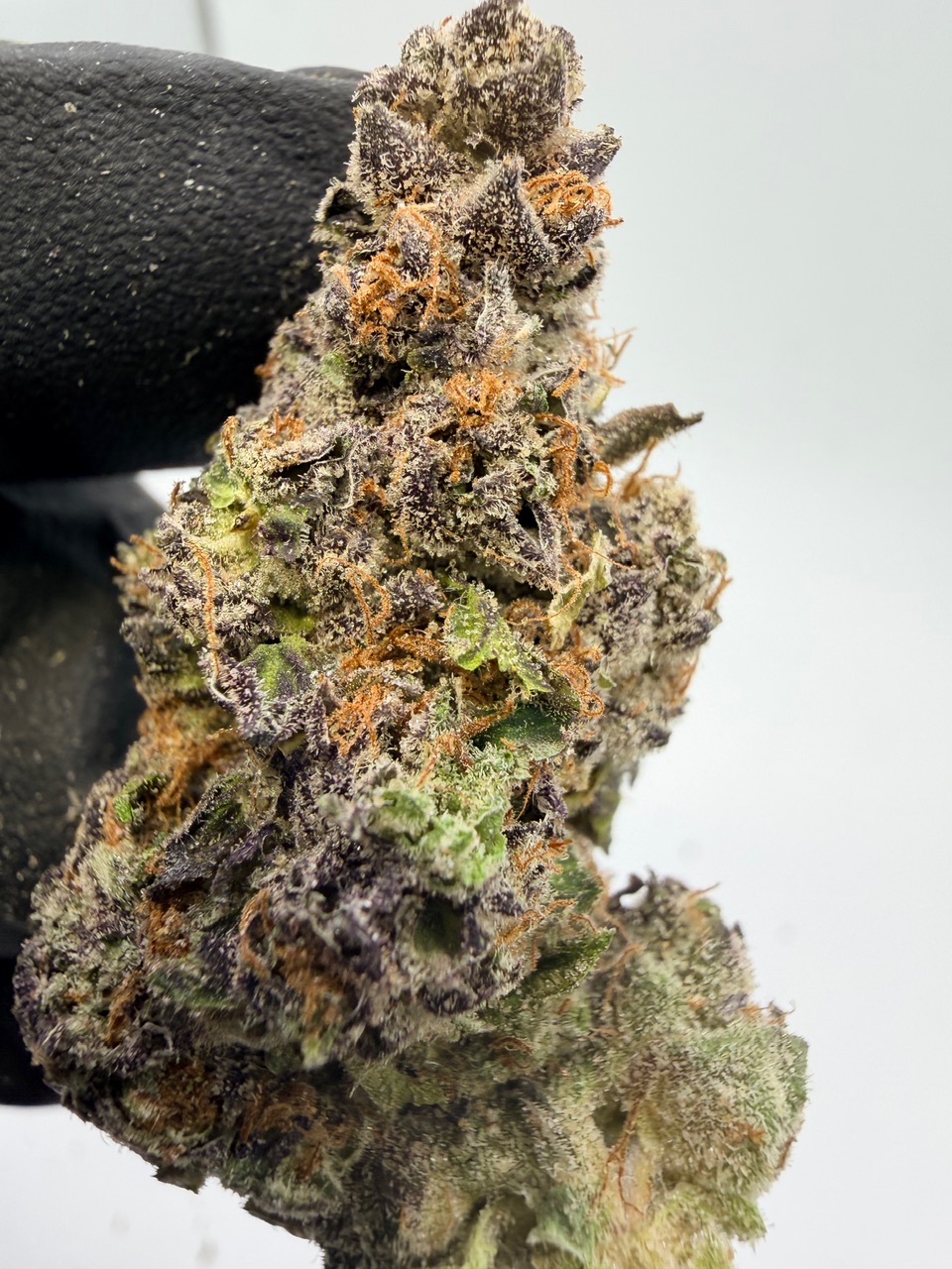 Strawberry Cough Digital Art