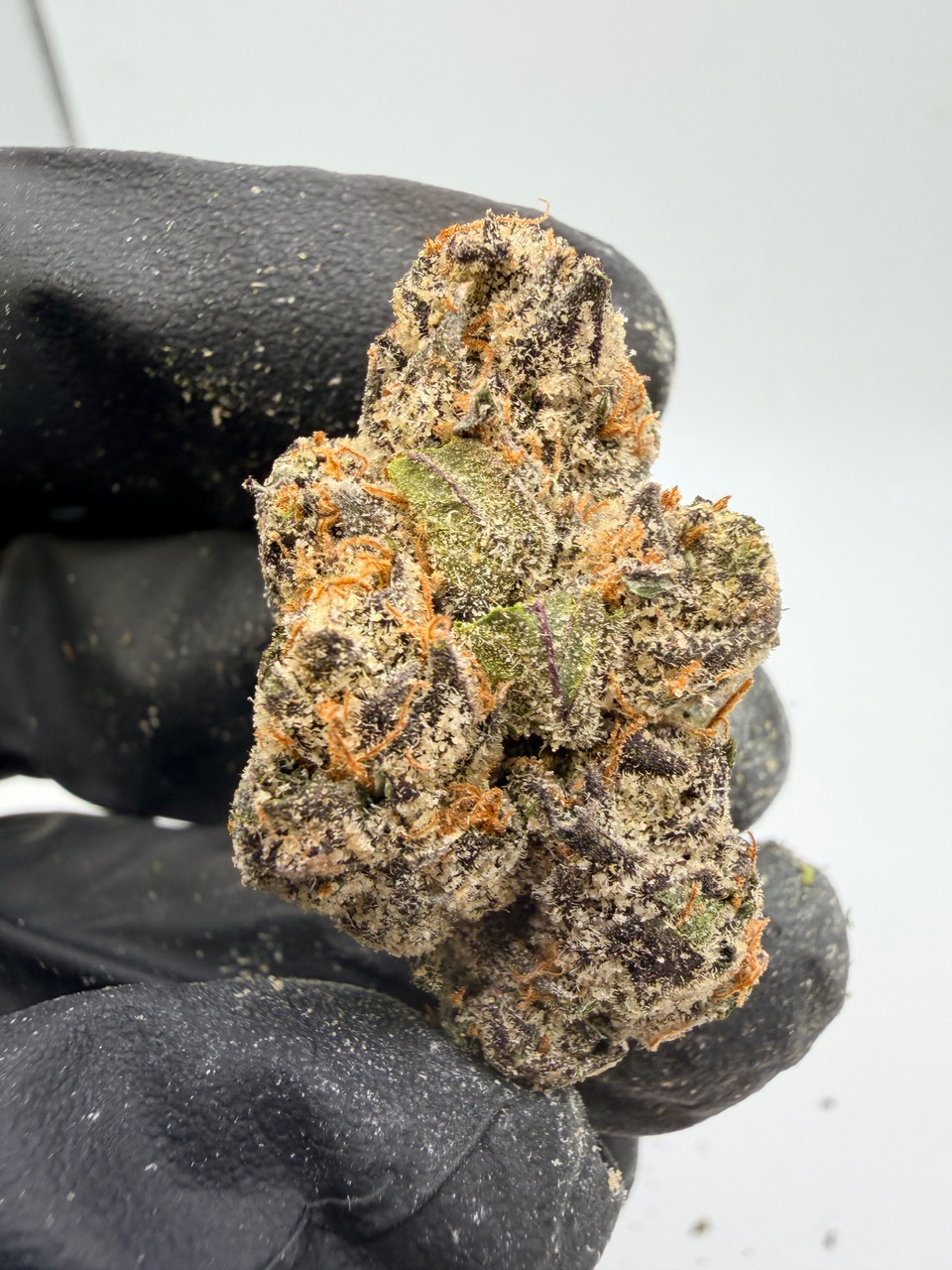 41 Flavors Digital Art - Image 2