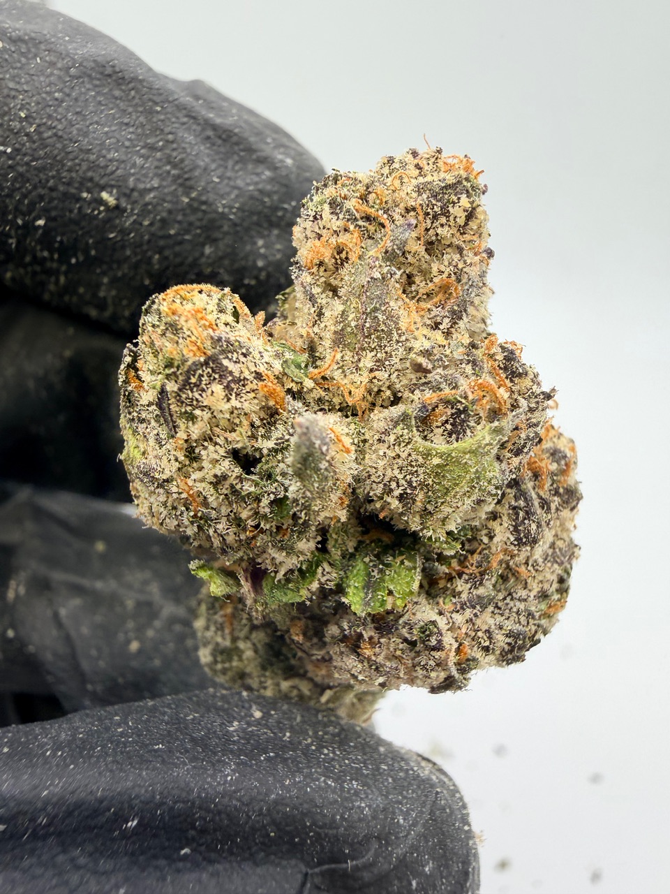 41 Flavors Digital Art - Image 4