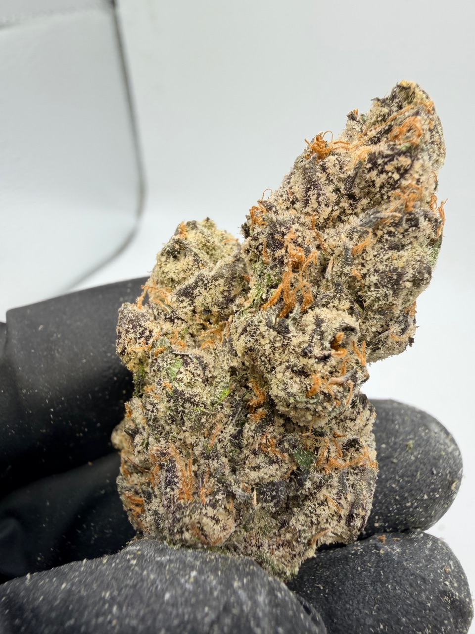 41 Flavors Digital Art - Image 3