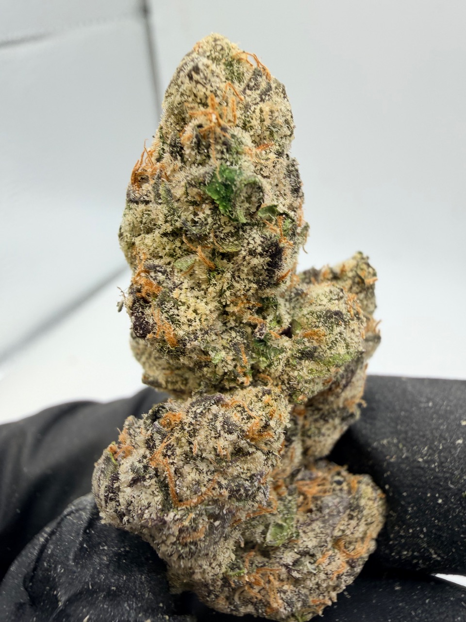 41 Flavors Digital Art - Image 5