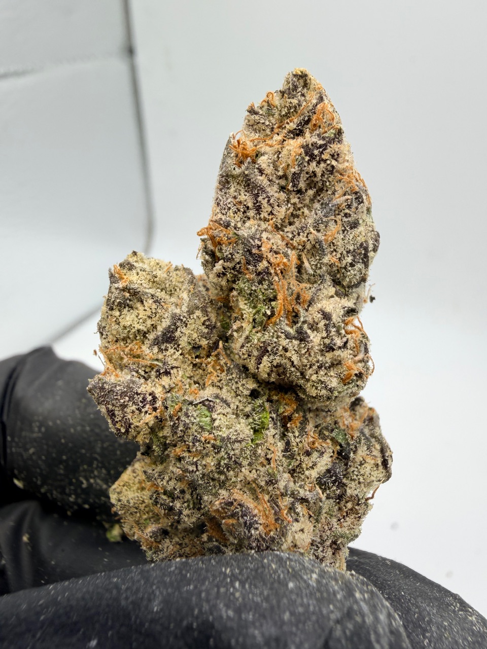 41 Flavors Digital Art - Image 6