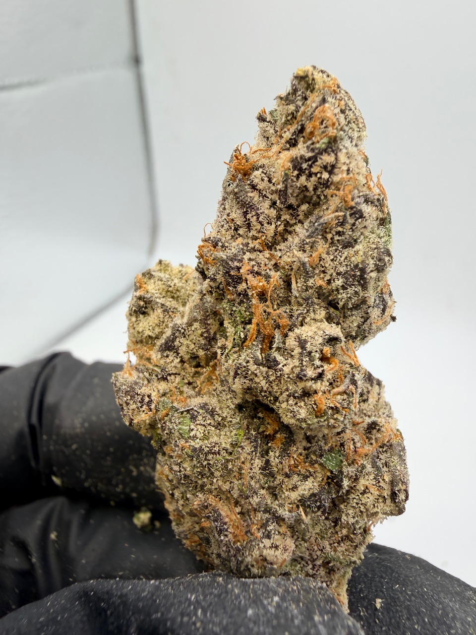 41 Flavors Digital Art - Image 8