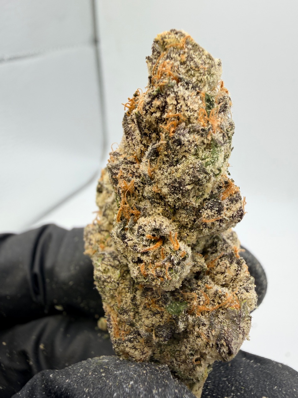 41 Flavors Digital Art - Image 7