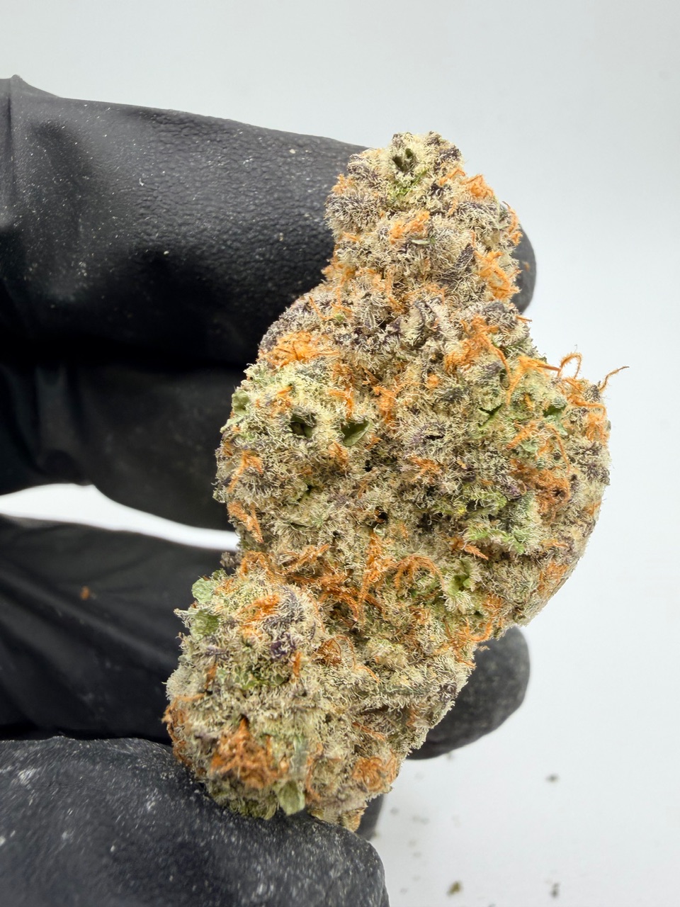 Electric Colada Digital Art - Image 2