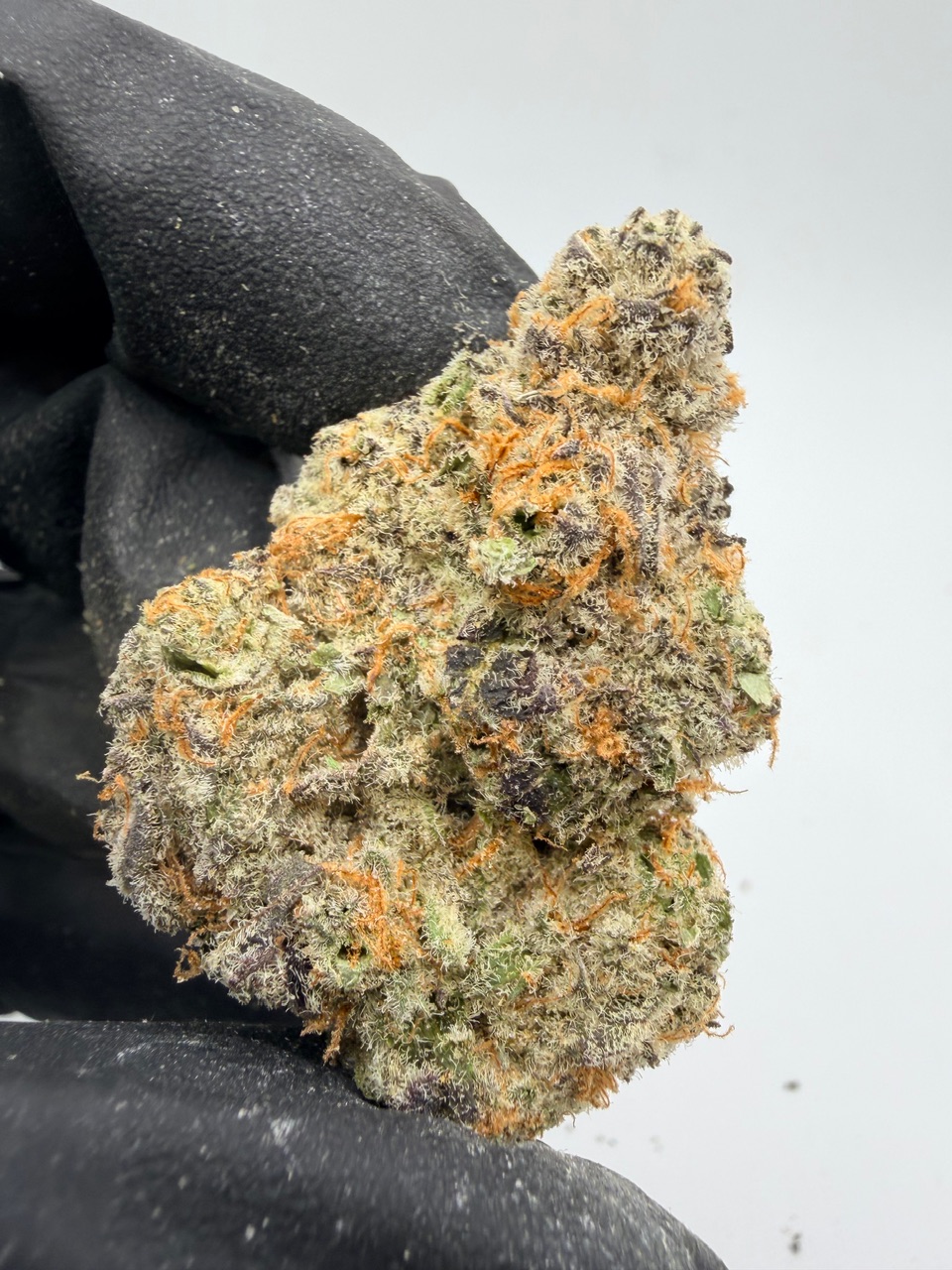 Electric Colada Digital Art - Image 3