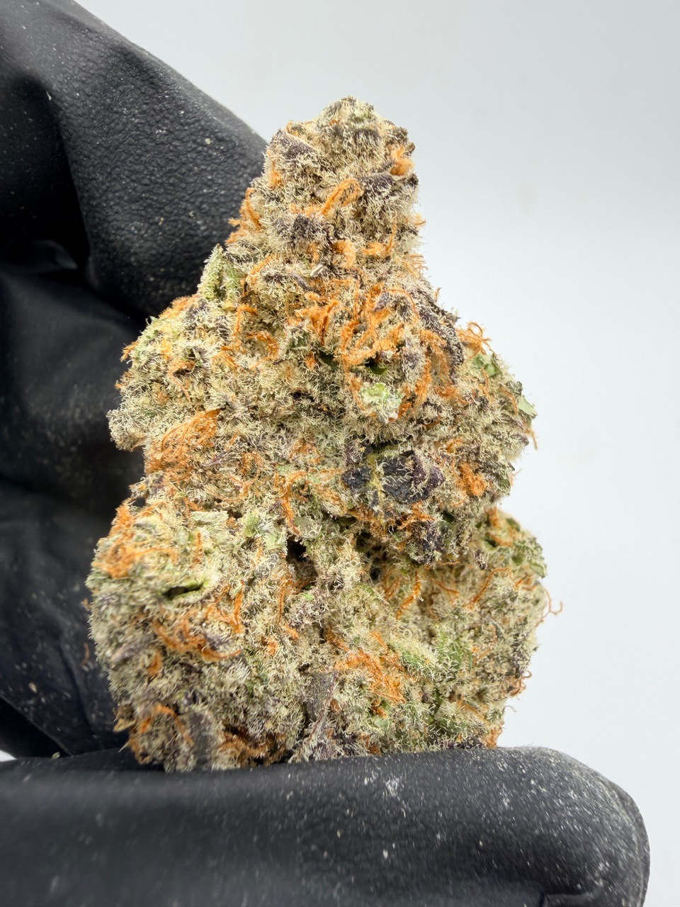 Electric Colada Digital Art - Image 4