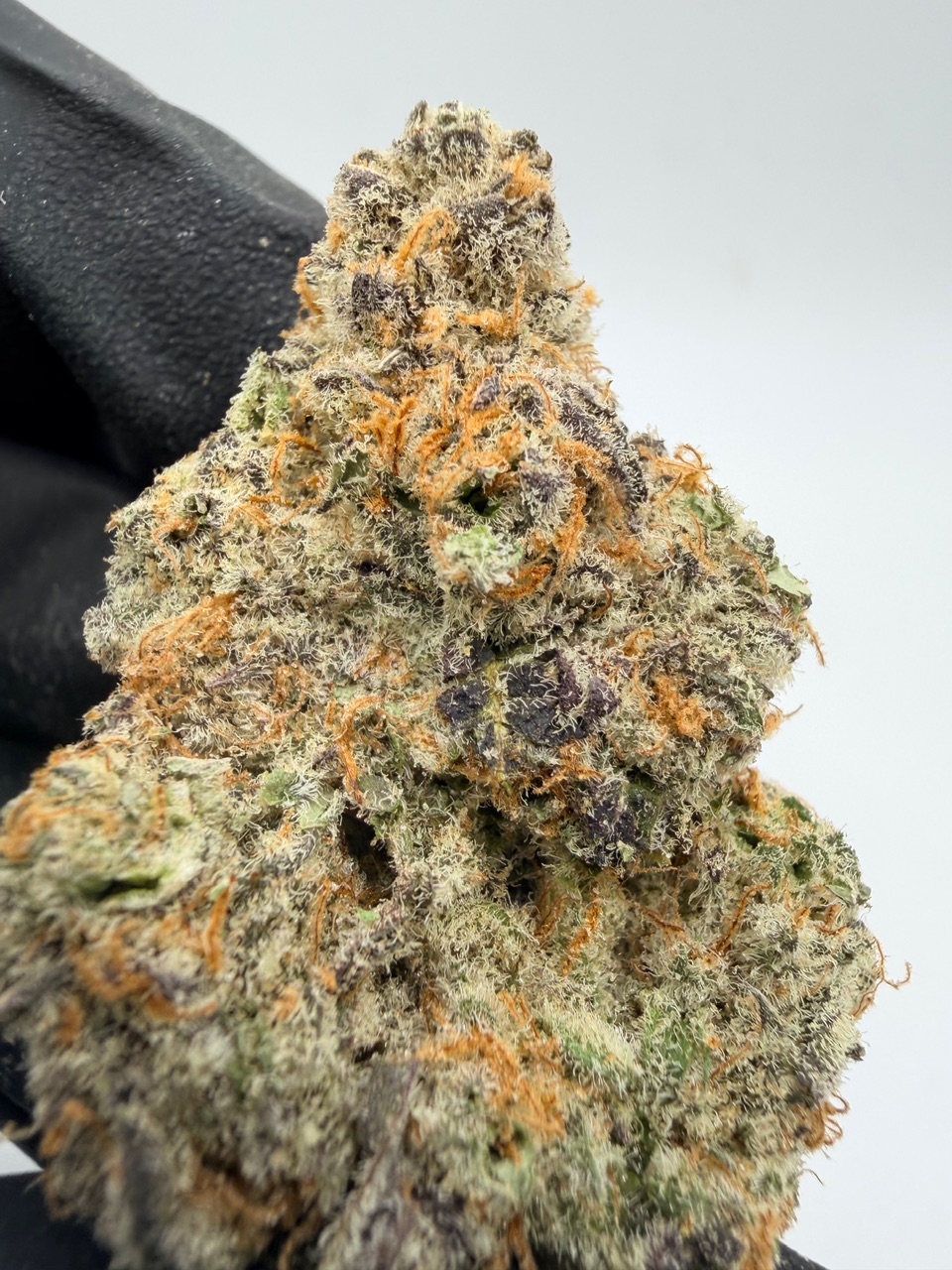 Electric Colada Digital Art - Image 5