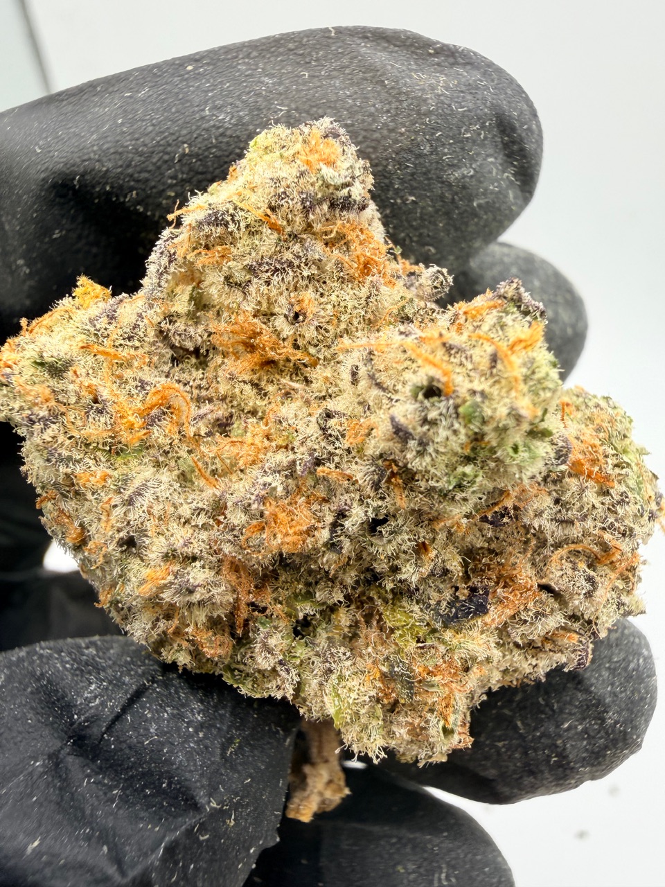 Electric Colada Digital Art - Image 7