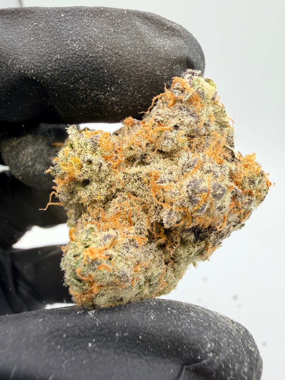 Electric Colada Digital Art - Image 6