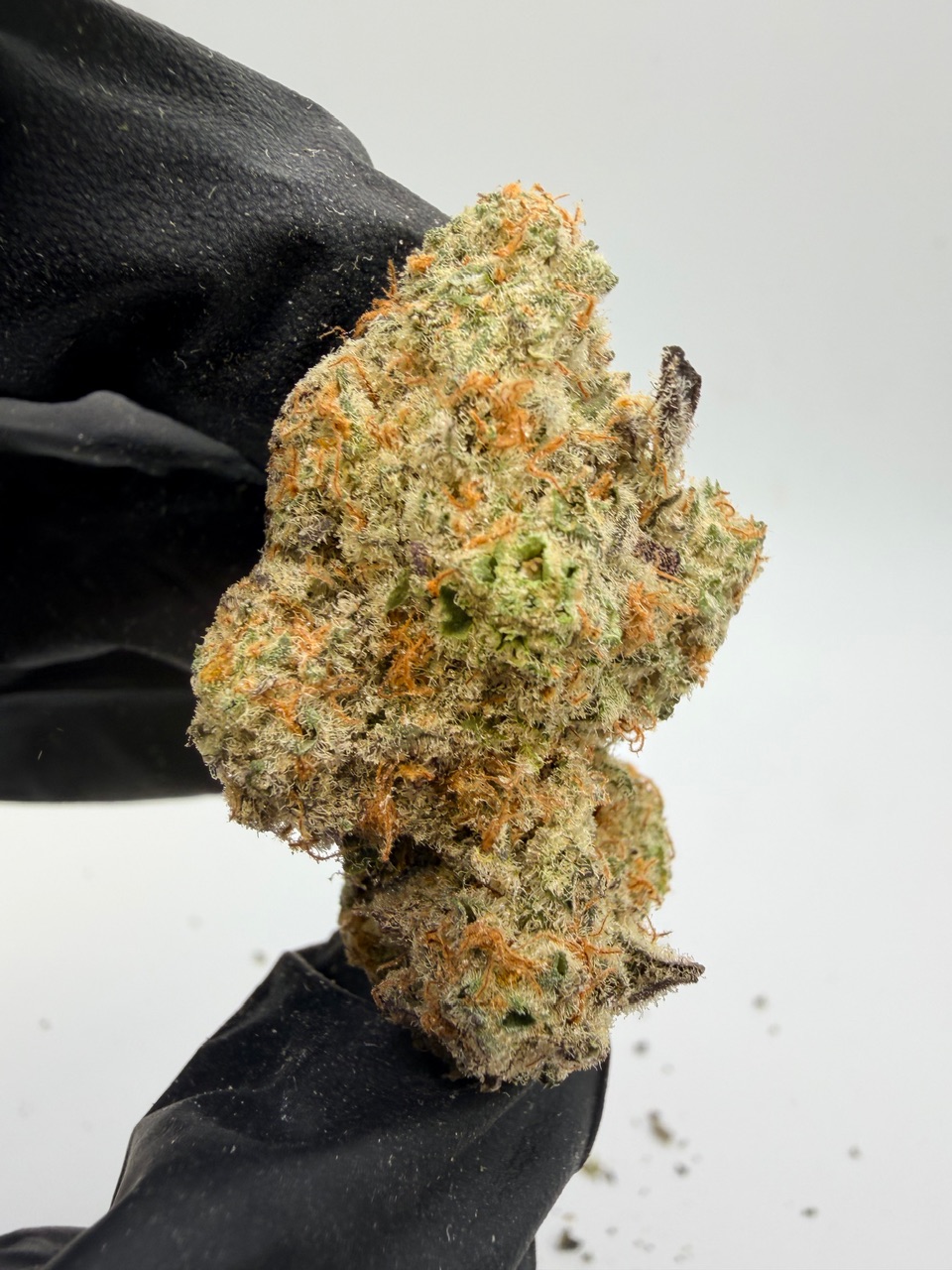 Electric Colada Digital Art - Image 9