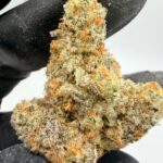 Electric Colada Digital Art