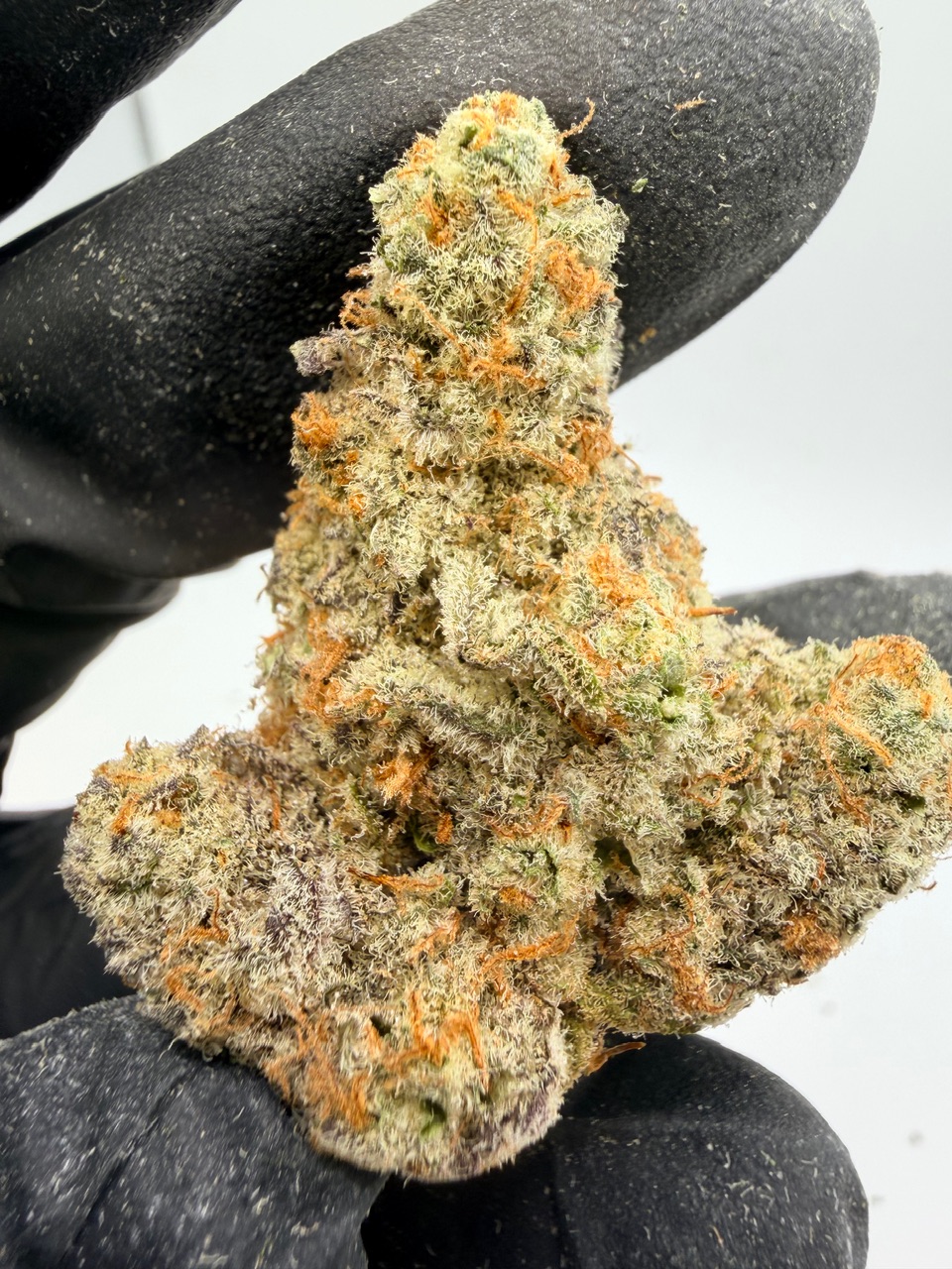 Electric Colada Digital Art