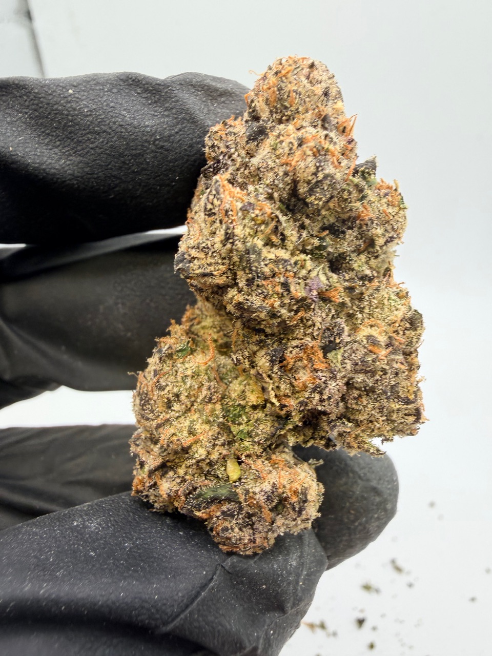 Motor Milk Digital Art - Image 2