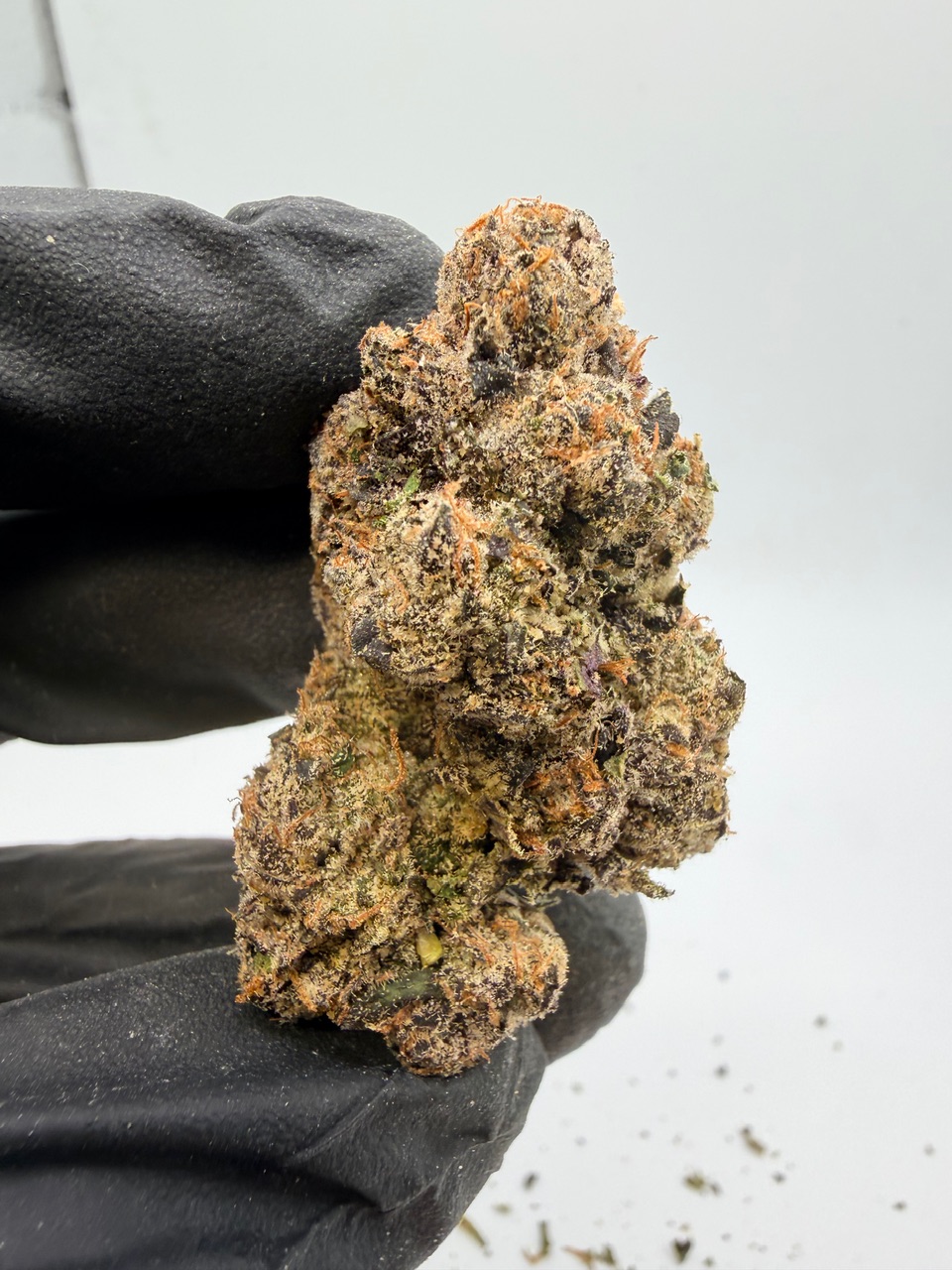 Motor Milk Digital Art - Image 4