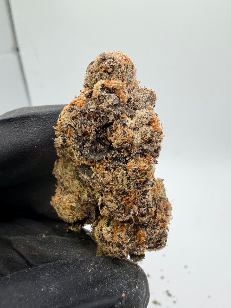 Motor Milk Digital Art - Image 7