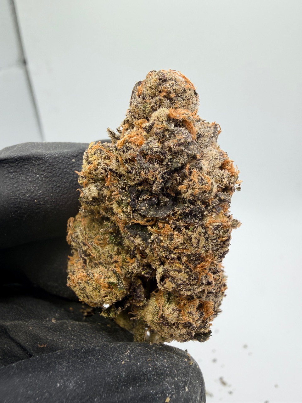 Motor Milk Digital Art