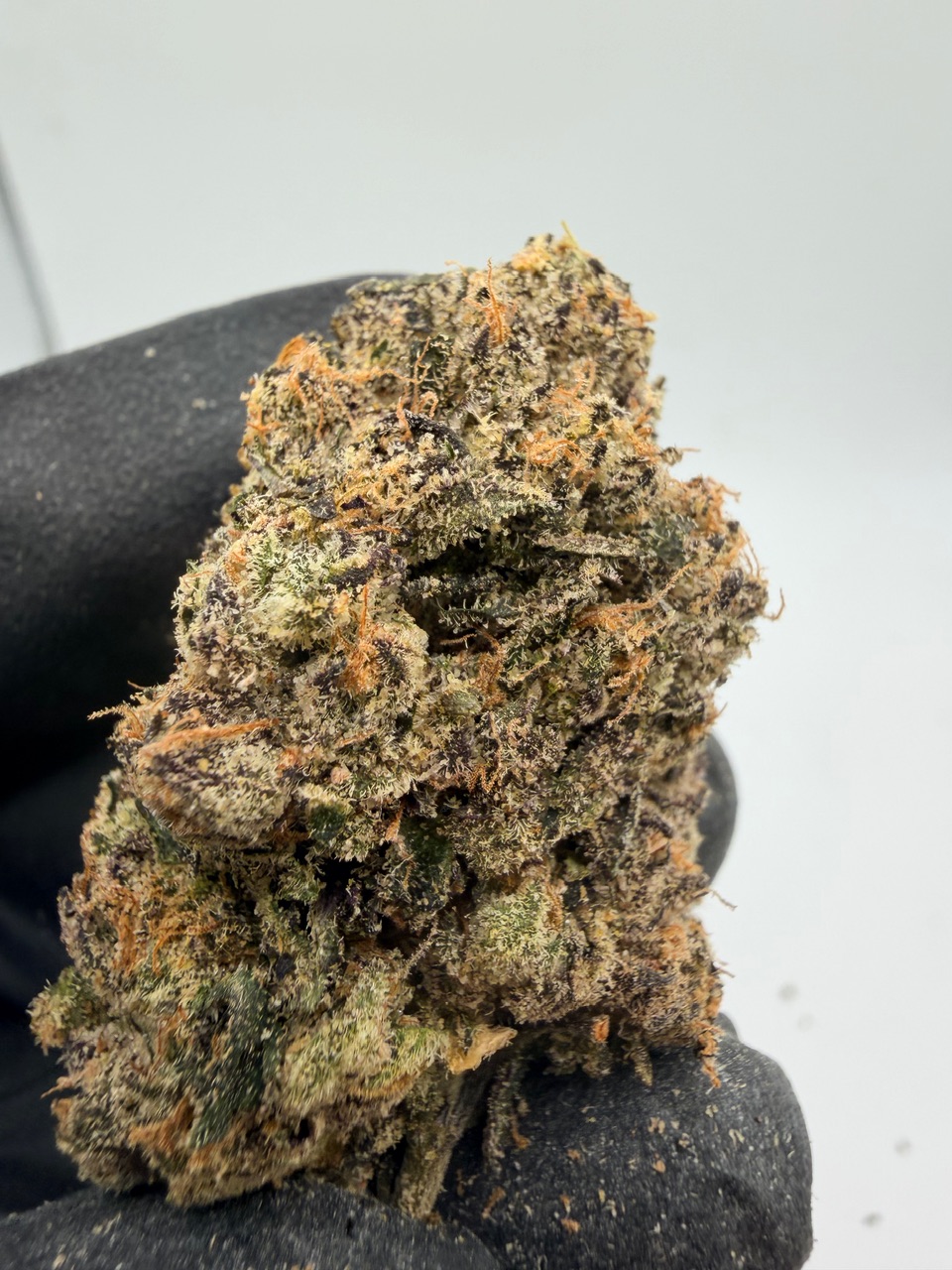 Motor Milk Digital Art - Image 5