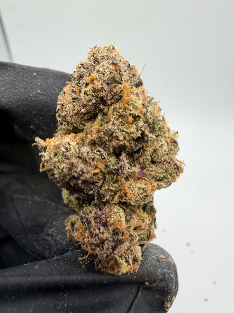 Motor Milk Digital Art - Image 9