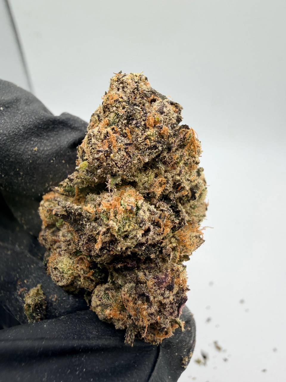 Motor Milk Digital Art - Image 10