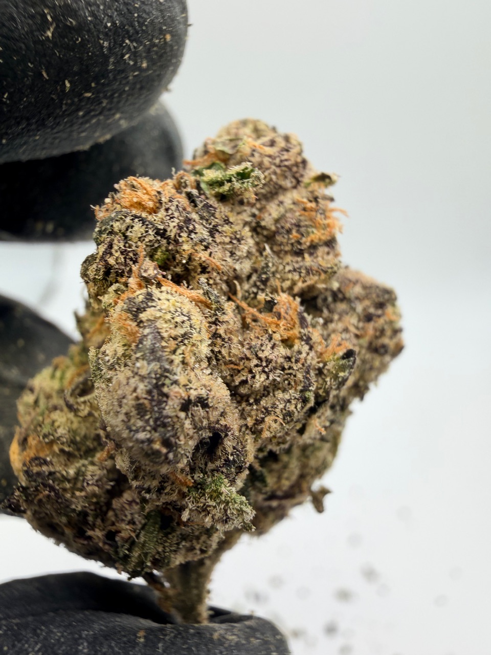 Motor Milk Digital Art - Image 8