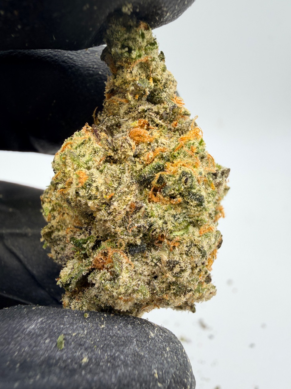 Blackberry Octane Digital Art - Image 2