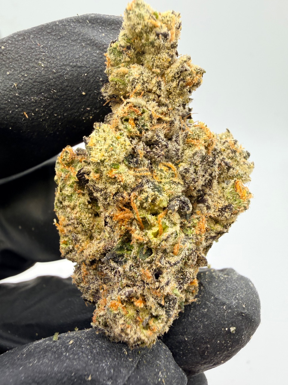 Blackberry Octane Digital Art - Image 4